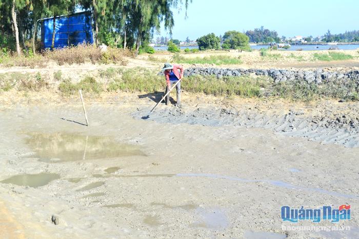 Sau nhiều năm nuôi tôm trên vùng triều gặp thất bại vì dịch bệnh, các thành viên của HTX Nuôi trồng thủy sản Tịnh Hòa tự nguyện xin giải thể HTX. 