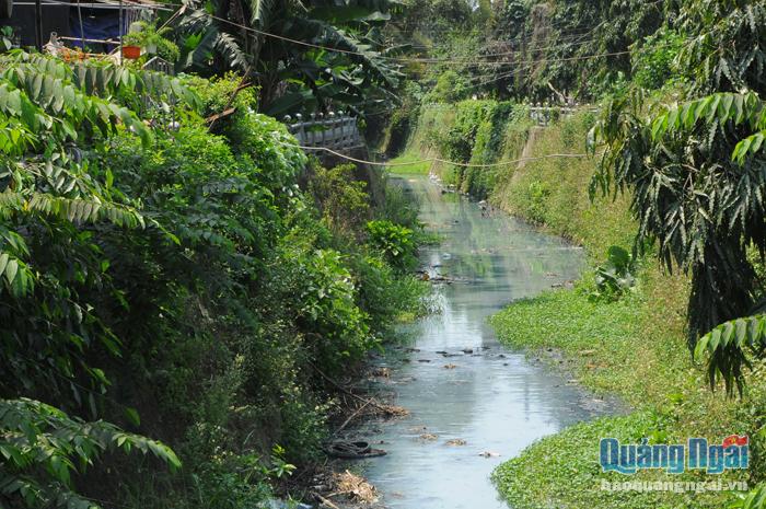 Nhiều năm qua, tuyến kênh sông Đào (đoạn qua phường Lê Hồng Phong, TP.Quảng Ngãi) luôn trong tình trạng ô nhiễm  nghiêm trọng, làm ảnh hưởng đến đời sống người dân ở khu vực này.