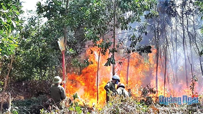 Nắng nóng kéo dài, nguy cơ cháy rừng tăng cao.