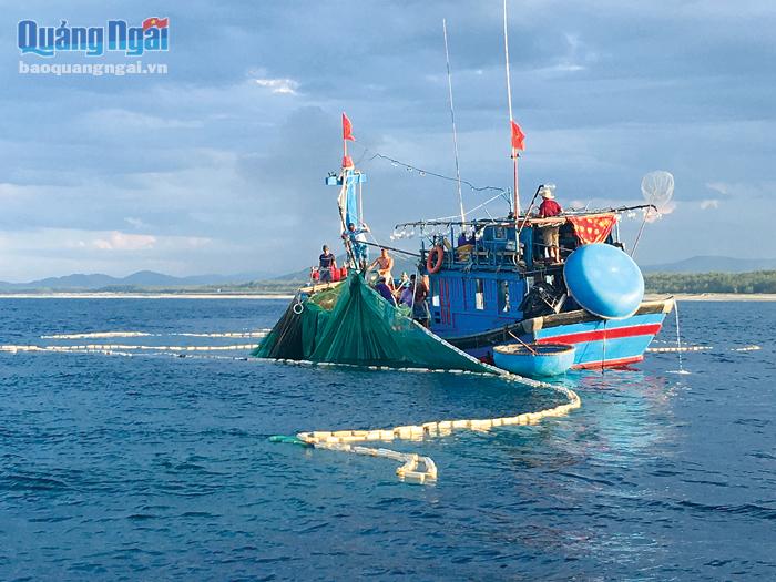 Ngư dân Phổ Quang ra khơi đánh bắt hải sản. 