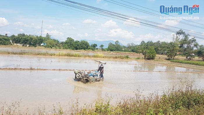 Nông dân cần sự hỗ trợ giống, phân bón, nguồn vốn để đầu tư sản xuất vụ mới.                           Ảnh: PV