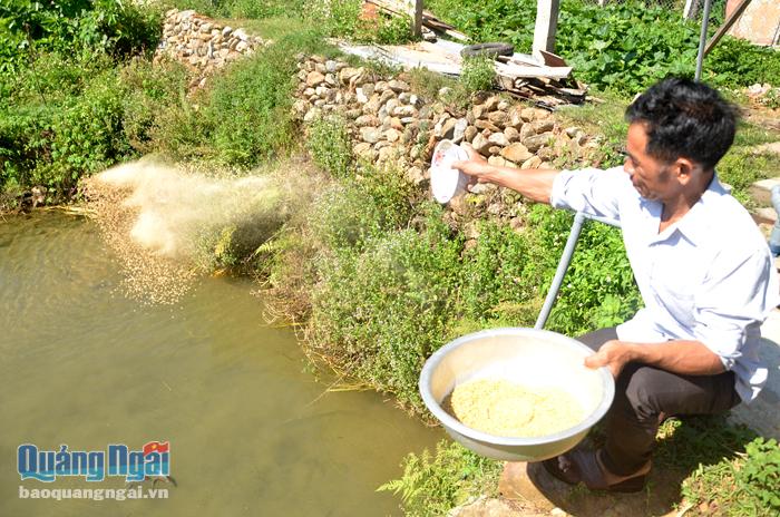 Người dân ở thôn Gò Tranh, xã Long Sơn (Minh Long) tận dụng ao, hồ để nuôi cá, nhằm cải thiện đời sống.