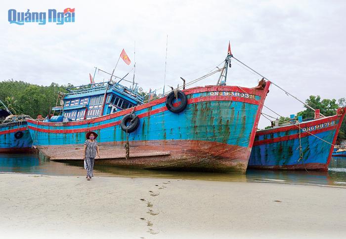 Cặp tàu cá của gia đình bà Nguyễn Thị Bảy nằm bờ từ đầu năm đến nay vì không có tiền để đi biển..