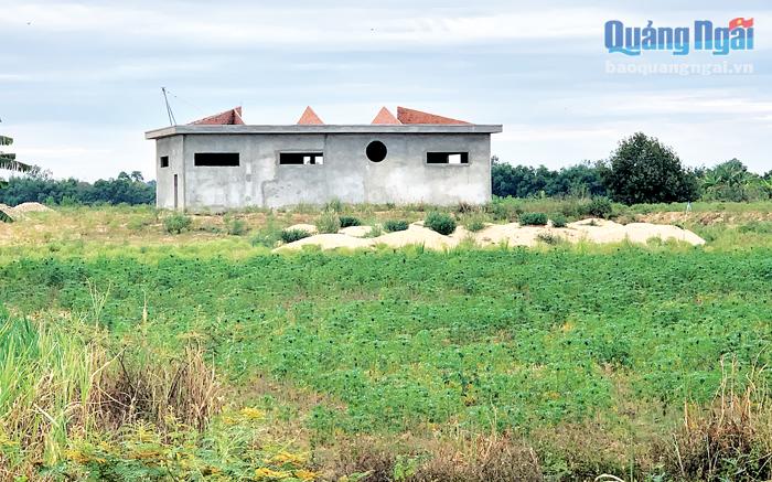 Nhà máy Nước Quảng Ngãi, do Công ty CP Hoàng Thịnh Đạt làm chủ đầu tư, hiện đã dừng thi công, các hạng mục dở dang, cỏ mọc um tùm.