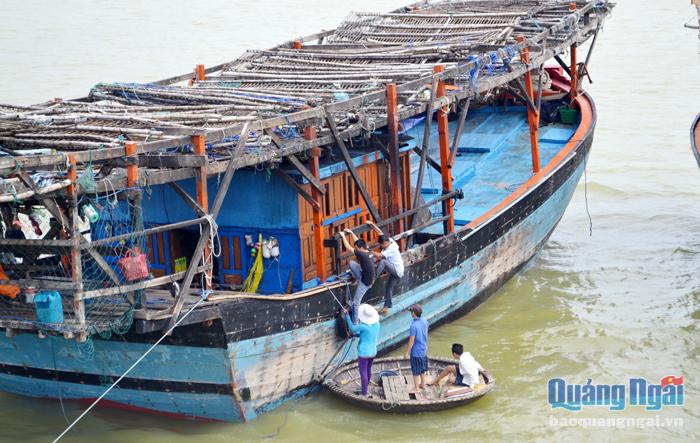 Ngư dân tàu câu mực xà tại Bình Chánh (Bình Sơn) đang sửa soạn vươn khơi. Ảnh: Ý THU