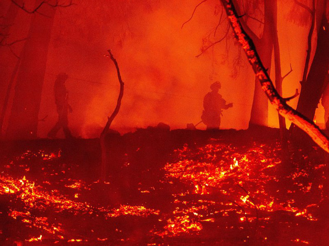 Hơn 4 triệu mẫu (1,6 triệu ha) rừng đã bị thiêu rụi tại California trong mùa cháy rừng 2020. Gần 17.000 lính cứu hỏa vẫn đang được điều động để kiểm soát ít nhất 23 đám cháy lớn tại bang này - Ảnh: AFP