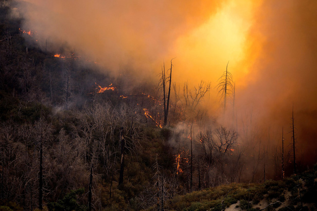 Đám cháy ở rừng quốc gia Angeles tại Los Angeles, Mỹ ngày 17-9-2020 - Ảnh (tư liệu): REUTERS