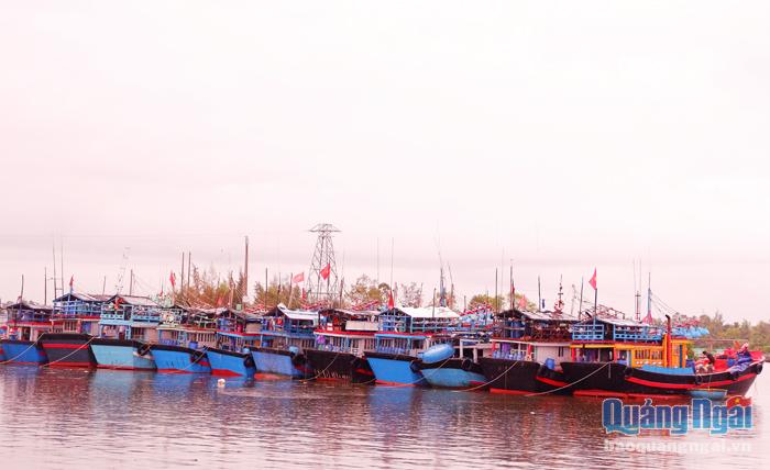 Tàu thuyền của ngư dân xã Tịnh Kỳ (TP.Quảng Ngãi) có công suất ngày càng lớn và ngư dân luôn đoàn kết khi tham gia đánh bắt trên biển.