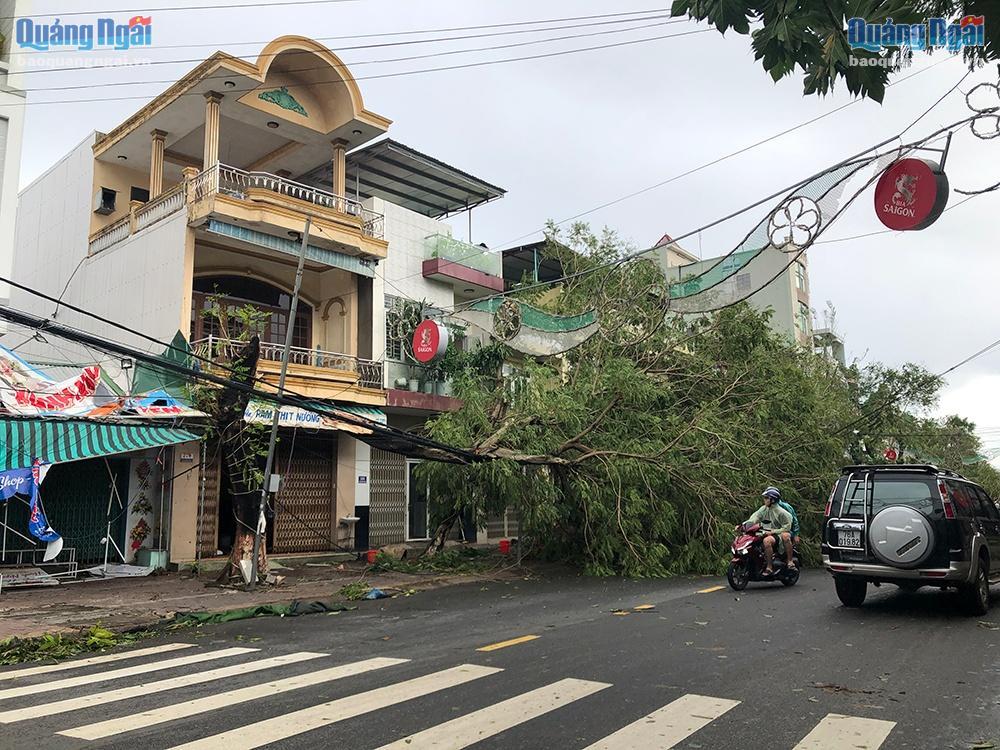 Các cây lớn bị ngã đổ đè lên đường dây điện trên đường Phan Đình Phùng