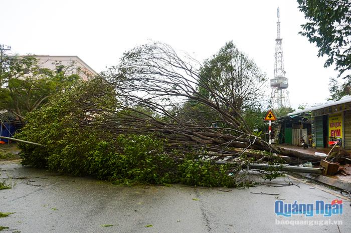 Sau bão, cây cối ngã đổ đầy đường, khiến cho việc lưu thông gặp rất nhiều khó khăn.