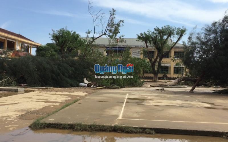Cây xanh, bùn đất còn ngổn ngang trong sân Trường THCS Hành Minh.