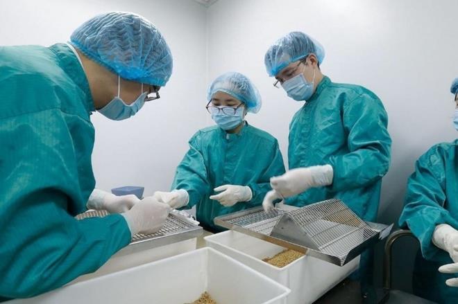 Các nhà nghiên cứu của VABIOTECH đang gấp rút nghiên cứu, hoàn thành vaccine COVID-19 "made in Việt Nam". (Ảnh: VABIOTECH).