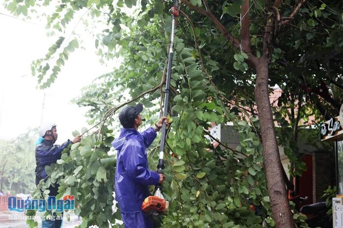 Theo Giám đốc Xí nghiệp công viên cây xanh Phạm Tấn Vũ, hiện nay vẫn chưa có thống kê về số lượng cây xanh bị thiệt hại trong cơn bão số 6trong sáng nay, toàn bộ các tổ của 
