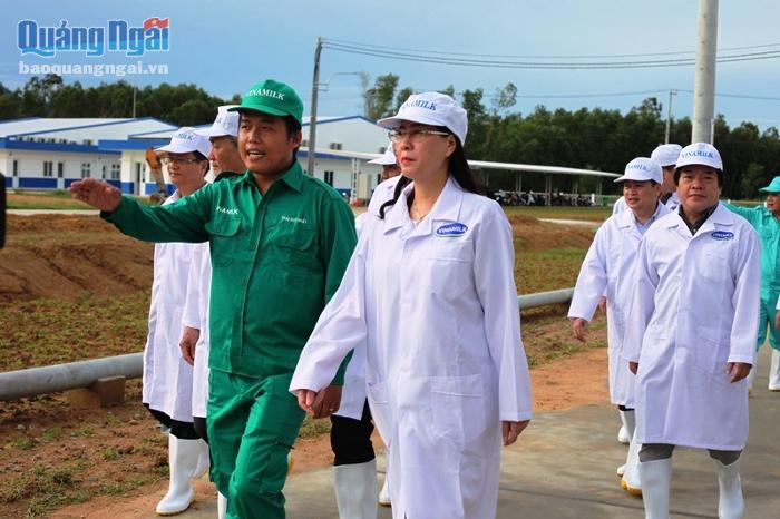 Ủy viên dự khuyết BCH Trung ương Đảng, Bí thư Tỉnh ủy, Chủ tịch HĐND tỉnh Bùi Thị Quỳnh Vân tại buổi làm việc với đại diện Trang trại bò sữa Vinamilk Quảng Ngãi.