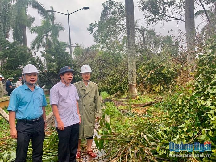 Chủ tịch UBND tỉnh kiểm tra chỉ đạo dọn dẹp cây cối đổ ngã, đảm bảo giao thông thông suốt và vệ sinh môi trường sau bão