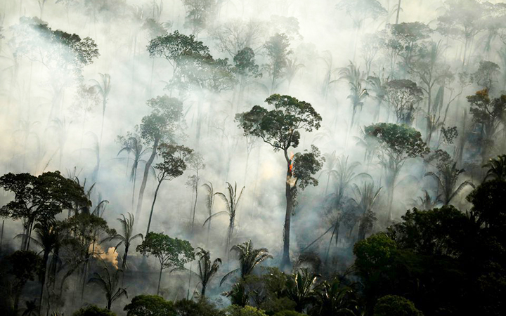 Nan giải vấn đề bảo tồn rừng Amazon
