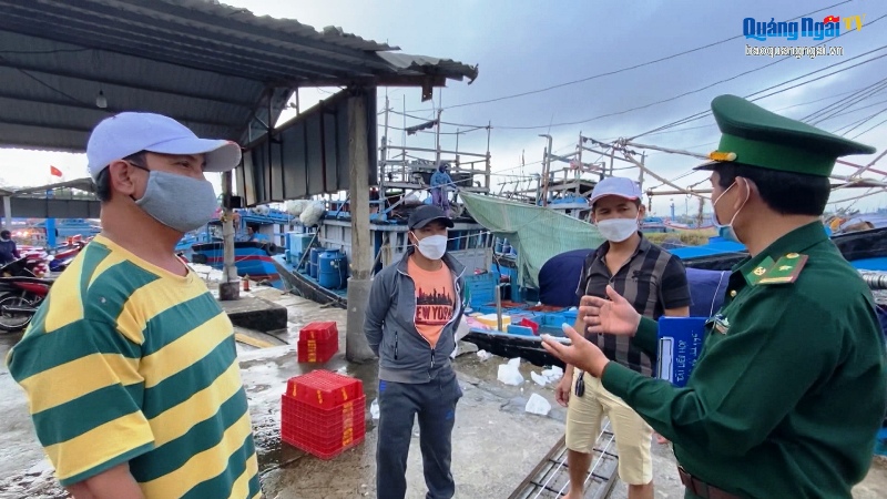Video: Hợp tác khai thác hải sản bất hợp pháp, ngư dân chịu thiệt