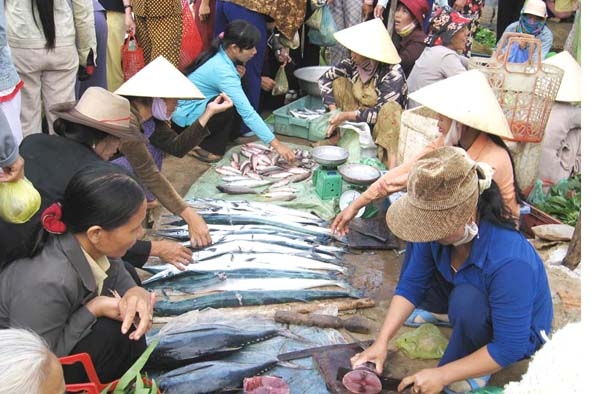 Các mặt hàng cá tươi được bày bán ở Lý Sơn khá phong phú.