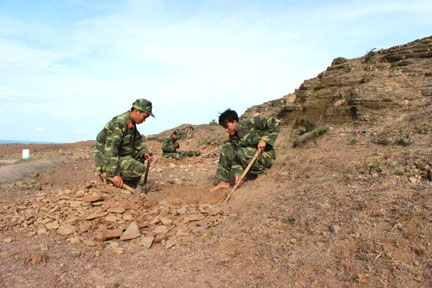Bộ đội Lý Sơn đào hố để chuẩn bị trồng rừng vào đầu tháng 9/2011.
