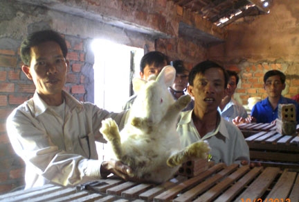 Anh Phạm Tấn  Cung  giới thiệu thỏ trong mô hình với đại biểu tham quan.