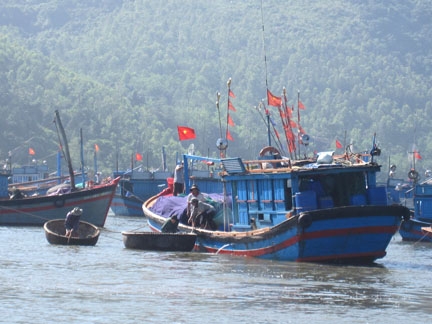 Tàu thuyền không thể vào bến nên nhiều ngư dân phải dùng thúng chuyển hải sản vào bờ