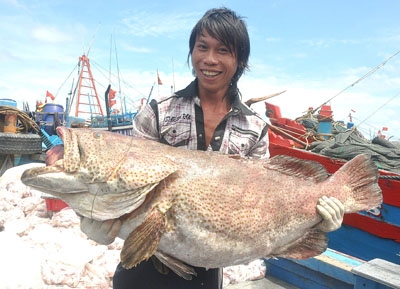 Ngư dân trẻ ôm con cá Mú nặng hơn 40 kg từ sàn tàu chuyển lên bờ.