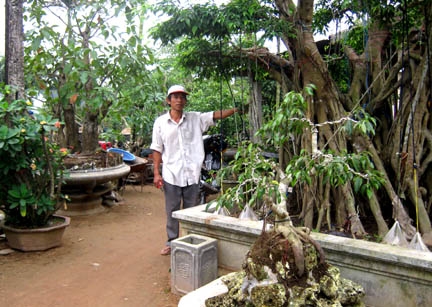 Ông Trương Chi với thế cây ngũ phúc trị giá hàng trăm triệu đồng.