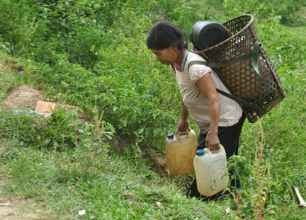 Bà Hồ Thị Út ở thôn Gò Rô, xã Trà Phong hằng ngày phải đi lấy nước  phục vụ sinh hoạt.