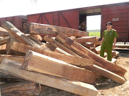 Số gỗ bị phát hiện tại ga Thuỷ Thạch