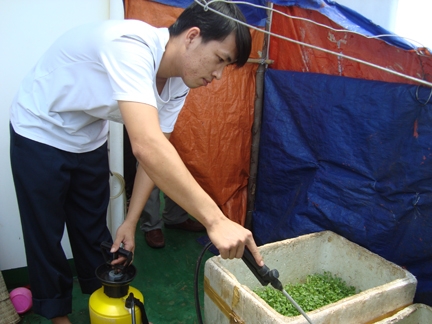 Chiến sĩ Tàu cảnh sát biển Việt Nam 9002 tăng rau xanh trên tàu