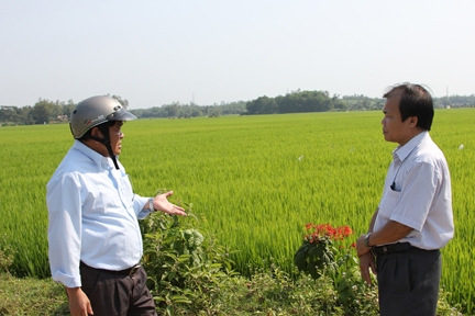Ông Trương Quang Sinh- Chủ nhiệm HTX Hành Dũng (bên phải) giới thiệu về cánh đồng lúa giống An Sơn