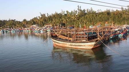 100% tàu cá đánh bắt xa bờ của ngư dân Quảng Ngãi là tàu gỗ. Trong ảnh: Tàu câu mực của ngư dân Bình Chánh (Bình Sơn).