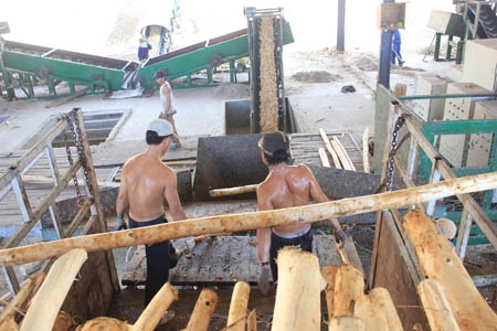 Một trong những nhà máy chế biến gỗ dăm xuất khẩu tại KKT Dung Quất.