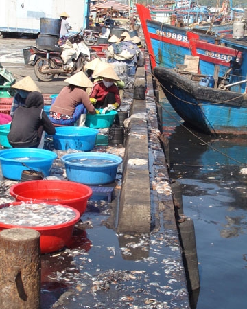  Làng cá ngày càng ô nhiễm nặng.
