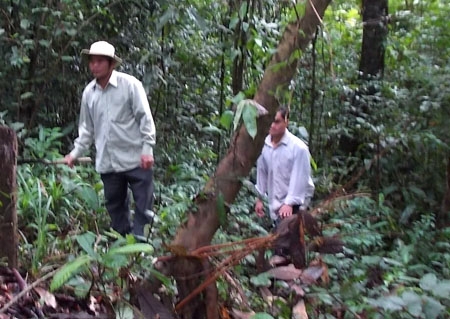 Các thành viên trong tổ bảo vệ thay phiên nhau tuần tra, bảo vệ rừng.