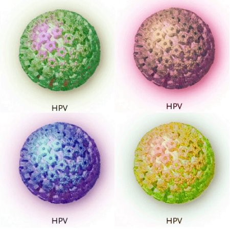 Virut Humman papilloma (HPV) gây nên bệnh sùi mào gà.