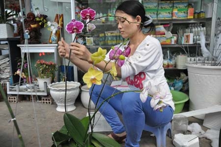 Chăm sóc hoa trước khi trao đến tay người mua