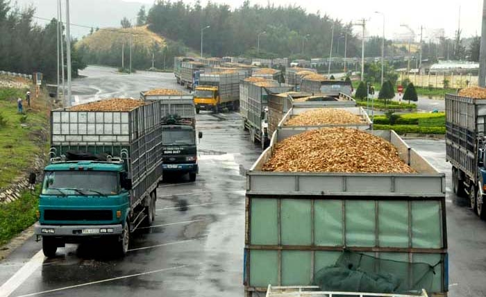 Hàng chục xe chở nguyên liệu giấy chầu chực trước Cảng Dung Quất để được xuất hàng.