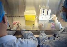 Bộ Y tế chủ trương củng cố phòng xét nghiệm chẩn đoán xác định vi rút cúm A(H7N9)