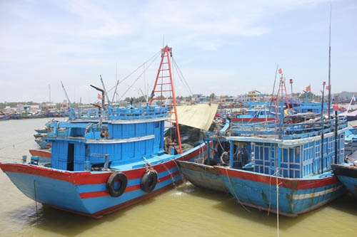 Trên 1.000 tàu thuyền Quảng Ngãi được cảnh báo về bão số 3 để tìm nơi trú ẩn an toàn