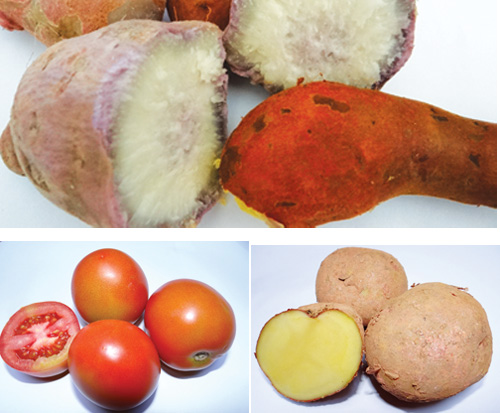 Khoai lang, cà chua, khoai tây... là những thực phẩm nên hạn chế ở người tiểu đường - Ảnh: Minh Khôi