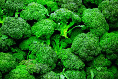 Bông cải xanh mang lại nhiều lợi ích cho sức khỏe - Ảnh: Shutterstock