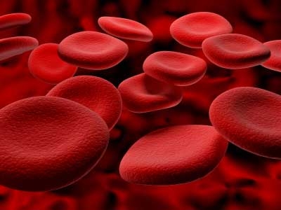  Số lượng hồng cầu trong máu giảm sẽ dẫn đến thiếu máu.