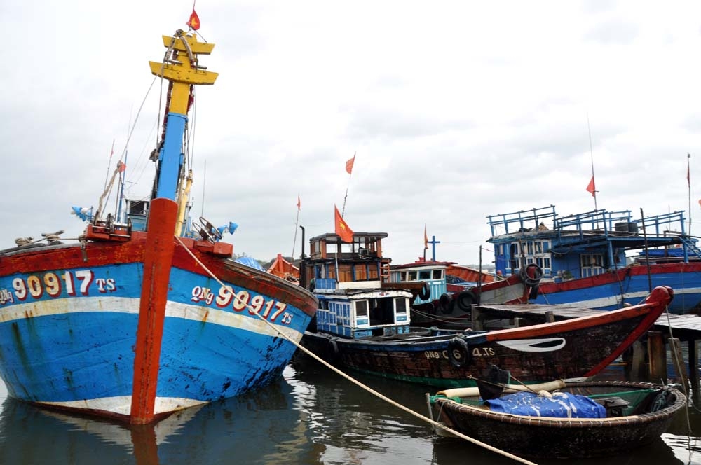 Tàu thyền của ngư dân Bình Sơn trú bão tại cảng Sa Cần.