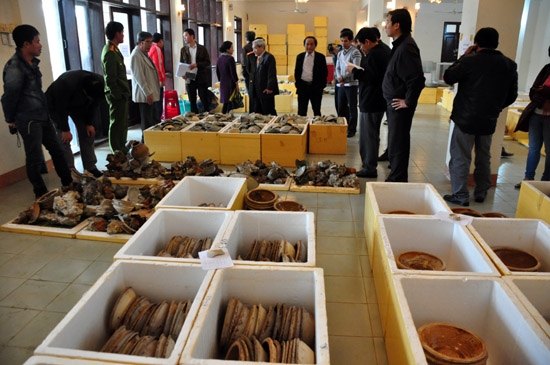 Tháng 6.2013, 4.975 hiện vật còn nguyên vẹn đã được khai quật lên từ con tàu có niên đại vào khoảng thế kỷ thứ 13 và được chuyển đến Bảo tàng tổng hợp tỉnh lưu giữ, bảo quản chờ phân chia