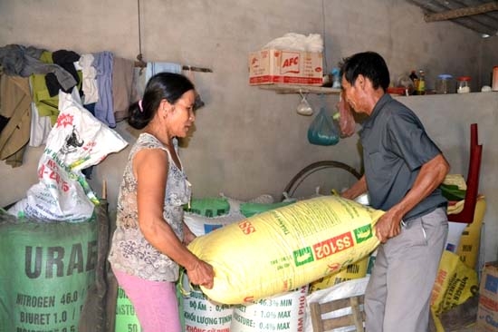 Bà Quỳnh Thị Sáu ở KDC 12, thôn Hòa Vinh, xã Hành Phước (Nghĩa Hành) đang cất trữ lúa trên gác lở tránh lụt để hai vợ chồng yên tâm đi làm ăn xa.