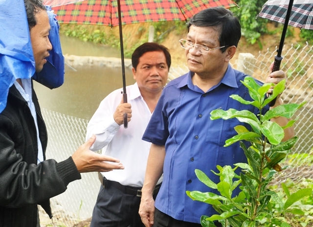 Chủ tịch UBND tỉnh Lê Viết Chữ nghe lãnh đạo Trạm khuyến nông huyện Sơn Tây giới về mô hình cây mắc- ca
