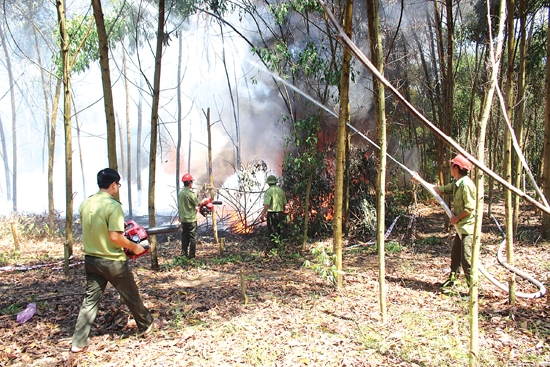 Lực lượng Kiểm lâm huyện tham gia diễn tập chữa cháy rừng cấp xã năm 2015 tại xã Nghĩa Thắng.