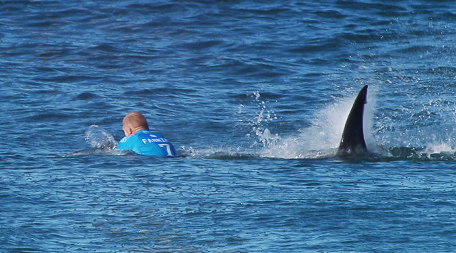  Ảnh chụp từ clip cho thấy con cá mập đang tấn công VĐV Mick Fanning - Ảnh: AFP