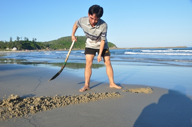 Chiếc xẻng hất tung đám cát lên kèm theo một chú rù rì lẫn trong cát